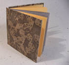 Handmade concertina pocketbook with yellow and beige pages and leaf shadow patterned covers