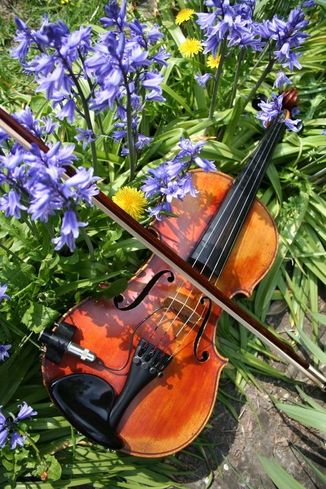 Fiddle tunes by heart - Irish